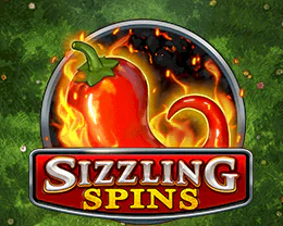 Sizzling Spins